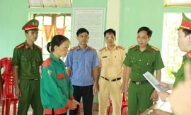 Đốt cỏ ruộng không may làm cháy rừng, nữ nông dân bị khởi tố