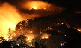 Cận cảnh rừng Hà Tĩnh cháy đỏ trời, dân tất tả di dời tài sản 