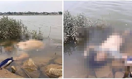 Thi thể người phụ nữ được cho là xác định chết vài ngày trước