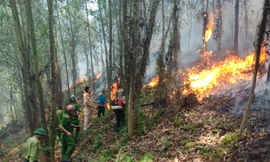 Đang cháy lớn tại núi Nầm Hà Tĩnh