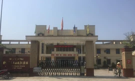 Nhổ lạc giữa nắng gắt, người đàn ông 50 tuổi sốc nhiệt tử vong