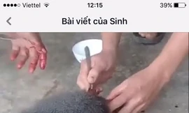 Truy tìm nhóm người giết khỉ rồi phát trực tiếp lên mạng xã hội 