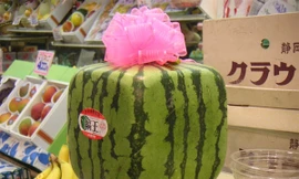 10 món ăn đắt đỏ nhất Nhật Bản 