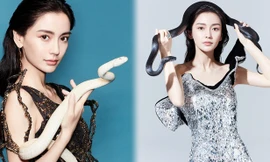 Angelababy táo bạo chụp ảnh với rắn
