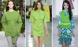 Xanh thiên nhiên là màu sắc chủ đạo của năm 2017