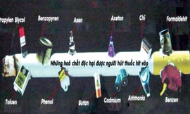 Khói thuốc lá chứa aceton là chất tẩy trong thuốc sơn móng tay, amoniac là chất tẩy rửa sàn nhà và bồn vệ sinh, DDT/Dieldrin là thuốc trừ sâu... 
