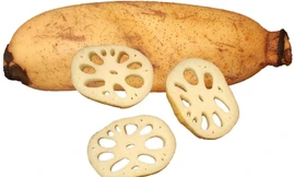 Lợi ích đối với sức khỏe của ngó sen 