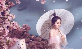 Dương Mịch đẹp mong manh tựa tiên nữ