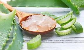 Mẹo đuổi muỗi giúp bạn ngủ không cần mắc màn