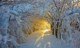 Những con đường mòn thơ mộng như tranh 