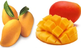 Lợi ích chữa bệnh tuyệt vời của quả xoài 