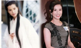 ‘Tiểu Long Nữ’ Lý Nhược Đồng trẻ đẹp rạng ngời ở tuổi tứ tuần