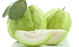 Thực phẩm vị đắng và chát có tác dụng gì?