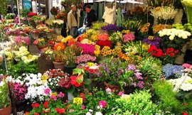 7 khu chợ hoa rực rỡ sắc màu khắp thế giới