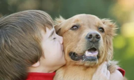 Ảnh minh họa từ Internet