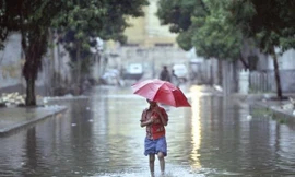 Những bệnh dễ mắc trong mùa mưa bão và cách phòng tránh