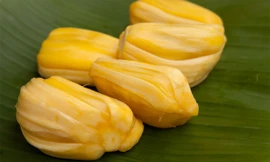 Mít chữa hen suyễn, an thần, giải rượu