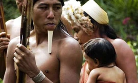 Thảo dược giúp chiến binh Amazon 'chiều' vợ không biết mệt