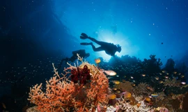 Bí quyết có bức ảnh đẹp dưới lòng đại dương