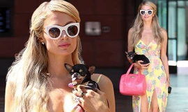 Paris Hilton thần thái sang chảnh, diện váy xẻ bế cún cưng