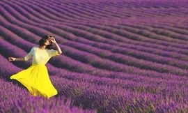 Phong cách thời trang gây ‘sốt’ của người đẹp nước Úc