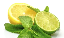 Tác dụng chữa bệnh hiệu quả của trái chanh