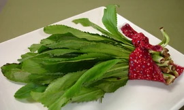 Chữa cảm cúm hiệu quả với mùi tàu