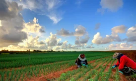 'Bí kíp' du lịch khắp thế giới thật tiết kiệm