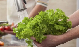 Nên rửa từng lá rau trực tiếp dưới vòi nước chảy thay vì ngâm tất cả trong chậu. 