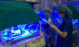 Trẻ vàng da bệnh lý: Không chữa kịp thời sẽ di chứng nặng nề