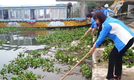 Đồng loạt ra quân diệt bèo tây 'cứu' sông Hương