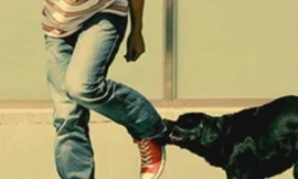 Người phụ nữ buôn thịt chó tử vong vì mắc bệnh dại