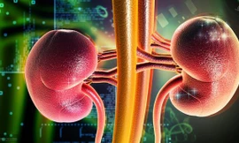 Ăn mặn, nhịn tiểu làm thận có sỏi