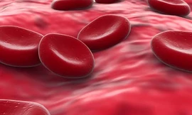 Rùng rợn chiêu uống máu để khỏe