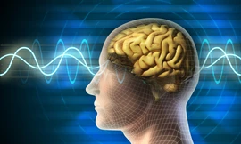 Ảnh minh họa: DrPawluk.com