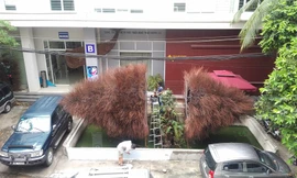 Những tác phẩm nghệ thuật từ cành đào Tết 