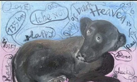 Yêu mãi kiểu Bùi Hoàng Dương