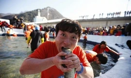 Bắt cá hồi bằng tay không trên sông băng Hàn Quốc