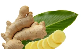 Thảo mộc ngừa say rượu bia ngày Tết