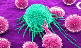 66% đột biến ung thư là do các lỗi sao chép DNA ngẫu nhiên. Ảnh: Nature 