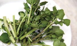 Cải xoong chữa bệnh eczema