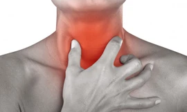 Ảnh minh họa từ Internet