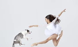 Dàn vũ công ba lê bay bổng tuyệt đẹp cùng những chú chó