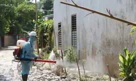 Cách dọn và khử trùng nhà cửa sau mưa ngập