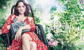 Người tình tin đồn của Brad Pitt quyến rũ giữa vườn hồng