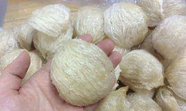 Các món sơn hào hải vị tiến vua