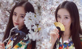 Dương Mịch lung linh tựa tiên nữ giữa vườn hoa anh đào