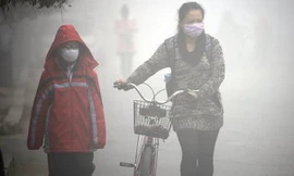 Ảnh minh họa: The World Beast