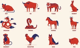 Tuổi nào cần giữ sức trong năm con Gà?