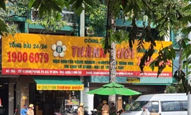 Thu hồi giấy phép kinh doanh không thời hạn với nhà xe Thành Bưởi 